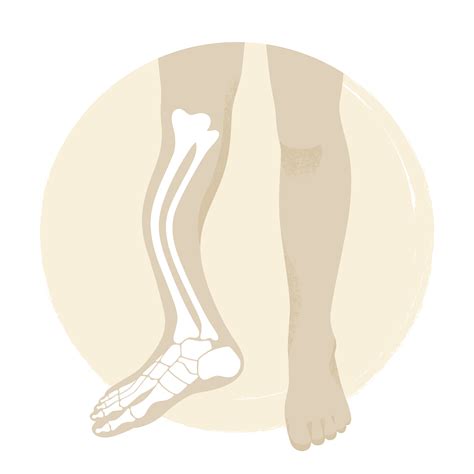 jiliko.oi|brittle bone disease life expectancy.